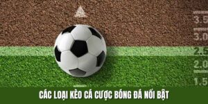 Các Loại Kèo Cá Cược Bóng Đá Nổi Bật Nhất Hiện Nay Từ F8BET